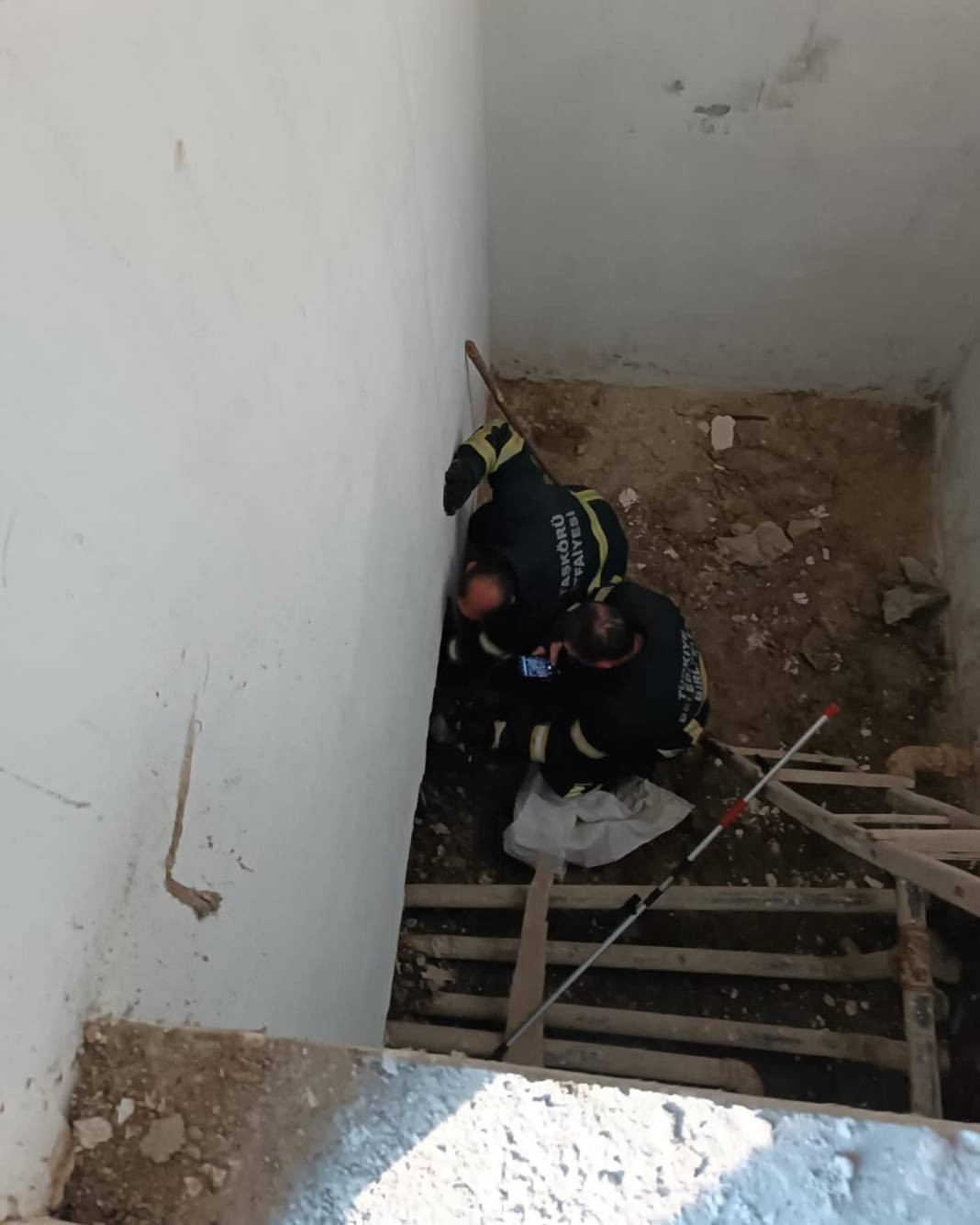 Yılanları mıknatıs gibi çeken 4 nokta belli oldu! Evinde olanlar dikkat - Resim: 11